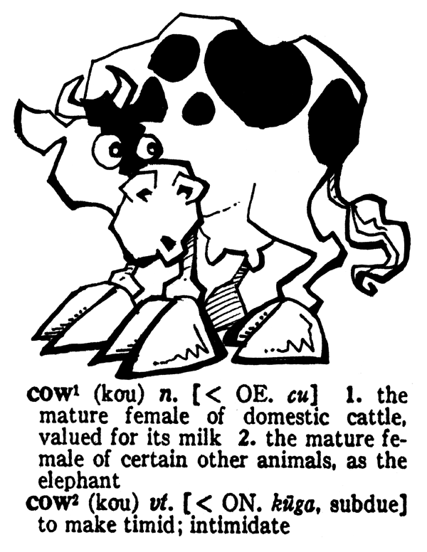 Cow definition